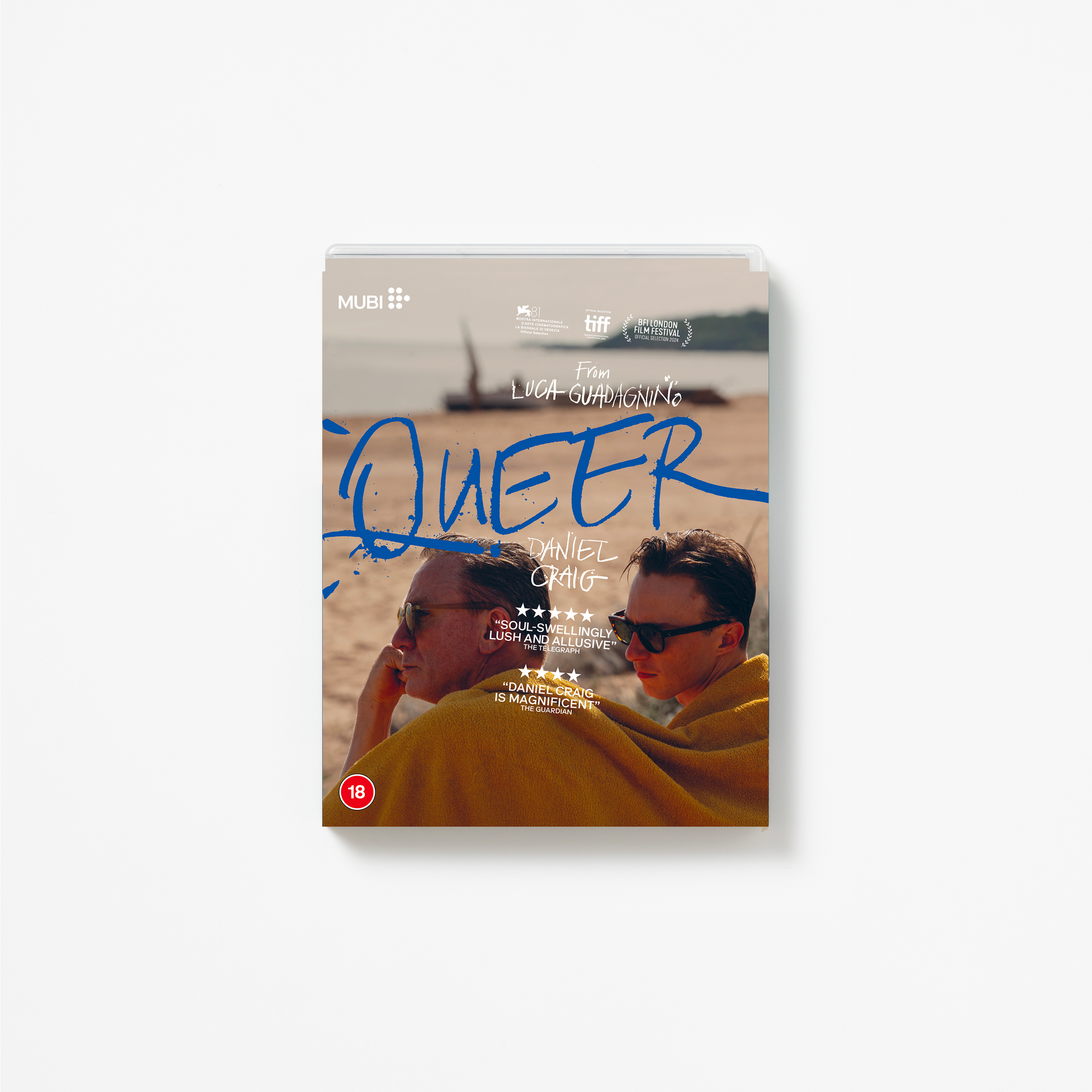 Blu-Ray cover of 'Queer' 